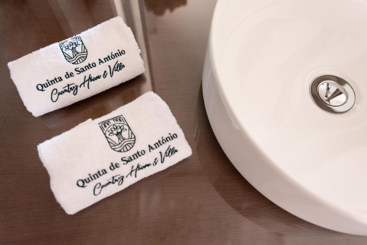 Quinta De Santo Antonio - Country House & Villas Marco de Canavezes エクステリア 写真
