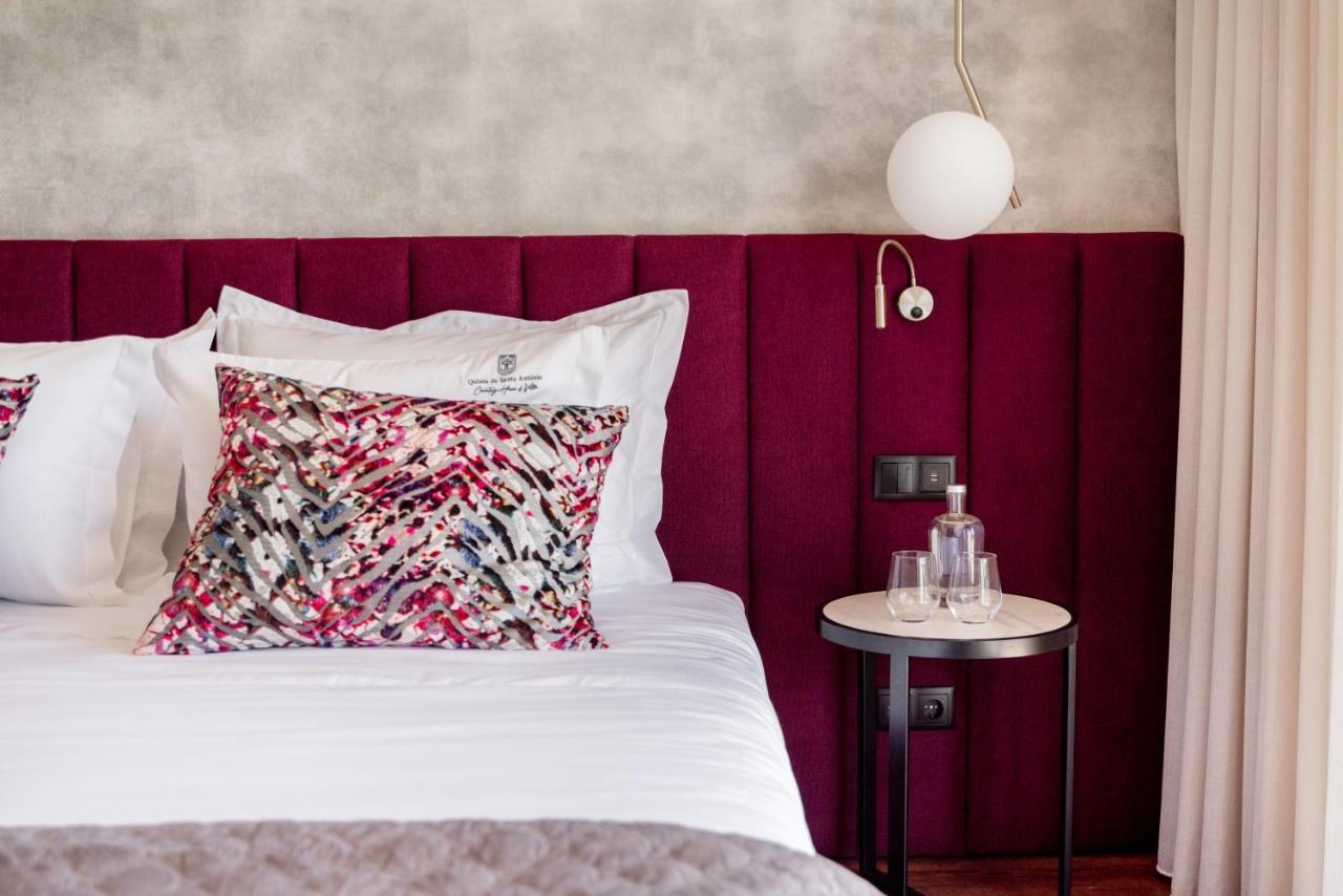 Quinta De Santo Antonio - Country House & Villas Marco de Canavezes エクステリア 写真